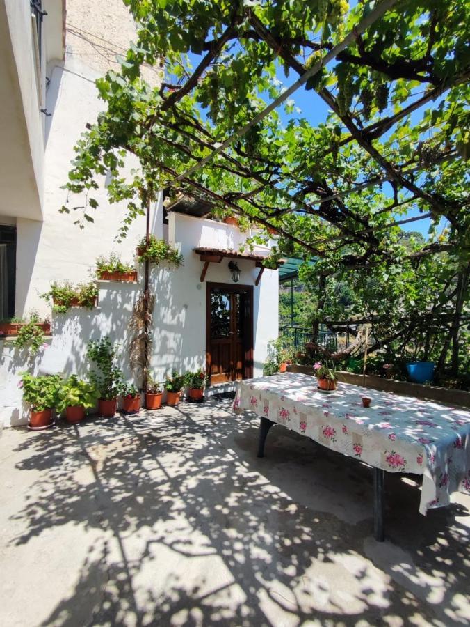 Eden Tra I Limoni Διαμέρισμα Minori Εξωτερικό φωτογραφία